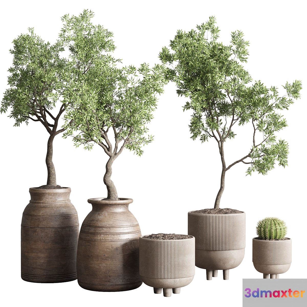 collection indoor outdoor plant 114 vase concrete wood old pot tree cactus - No.4
