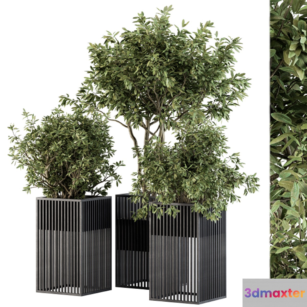 Outdoor Plant Set 276 - Plant Set in Metal Pot - No.2