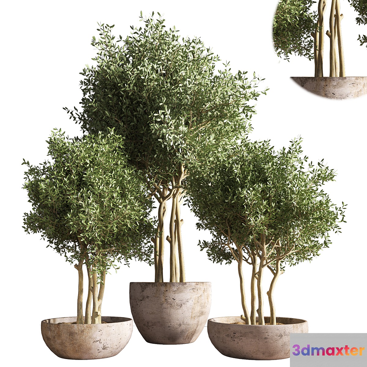 indoor plant stand 19 - No.2
