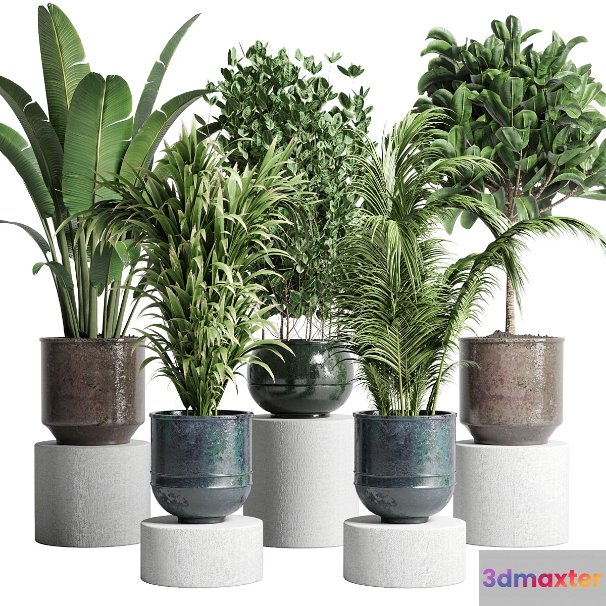 collection Indoor plant 115 metal dirt old vase handmade pot plant ravenala ficus rubbery palm - No.2