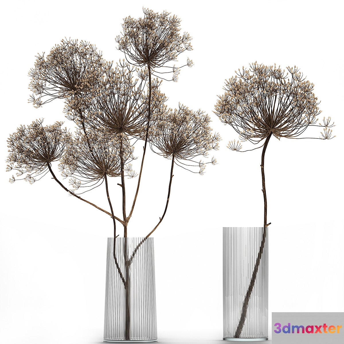 Bouquet of dried flowers in a glass vase with dry branches Hogweed . 158.