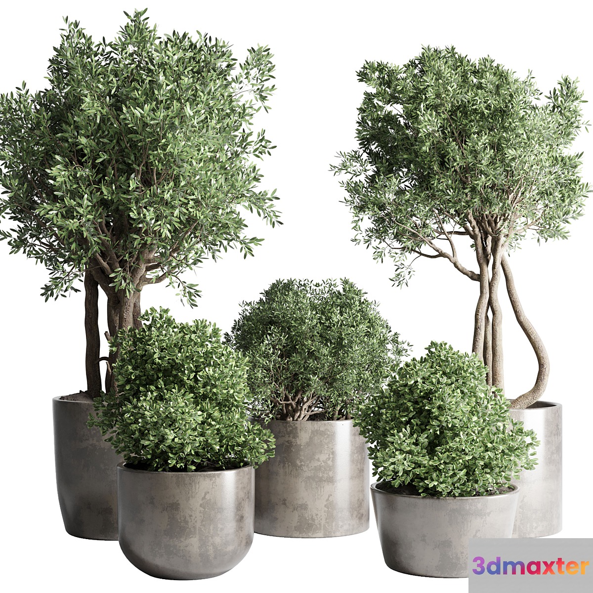Collection Outdoor Indoor plant 53 concrete dirt vase pot tree bush