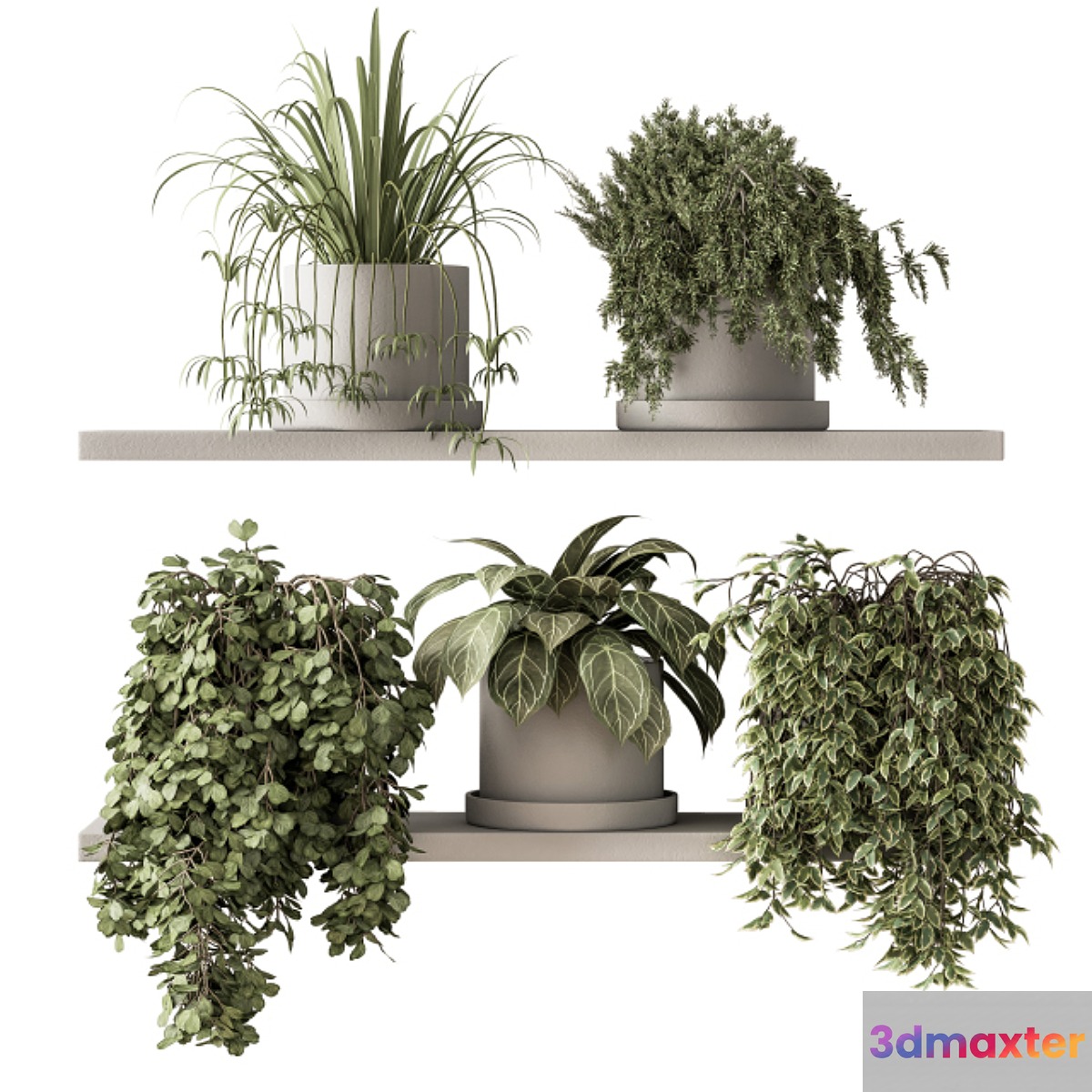 indoor Plant Set 281 - Plant pot on shelves - No.2
