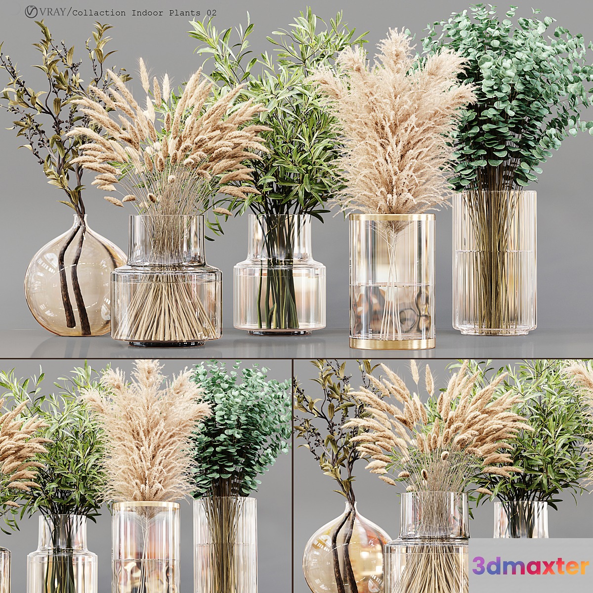 Collection Indoor Plants 02 3D Max
