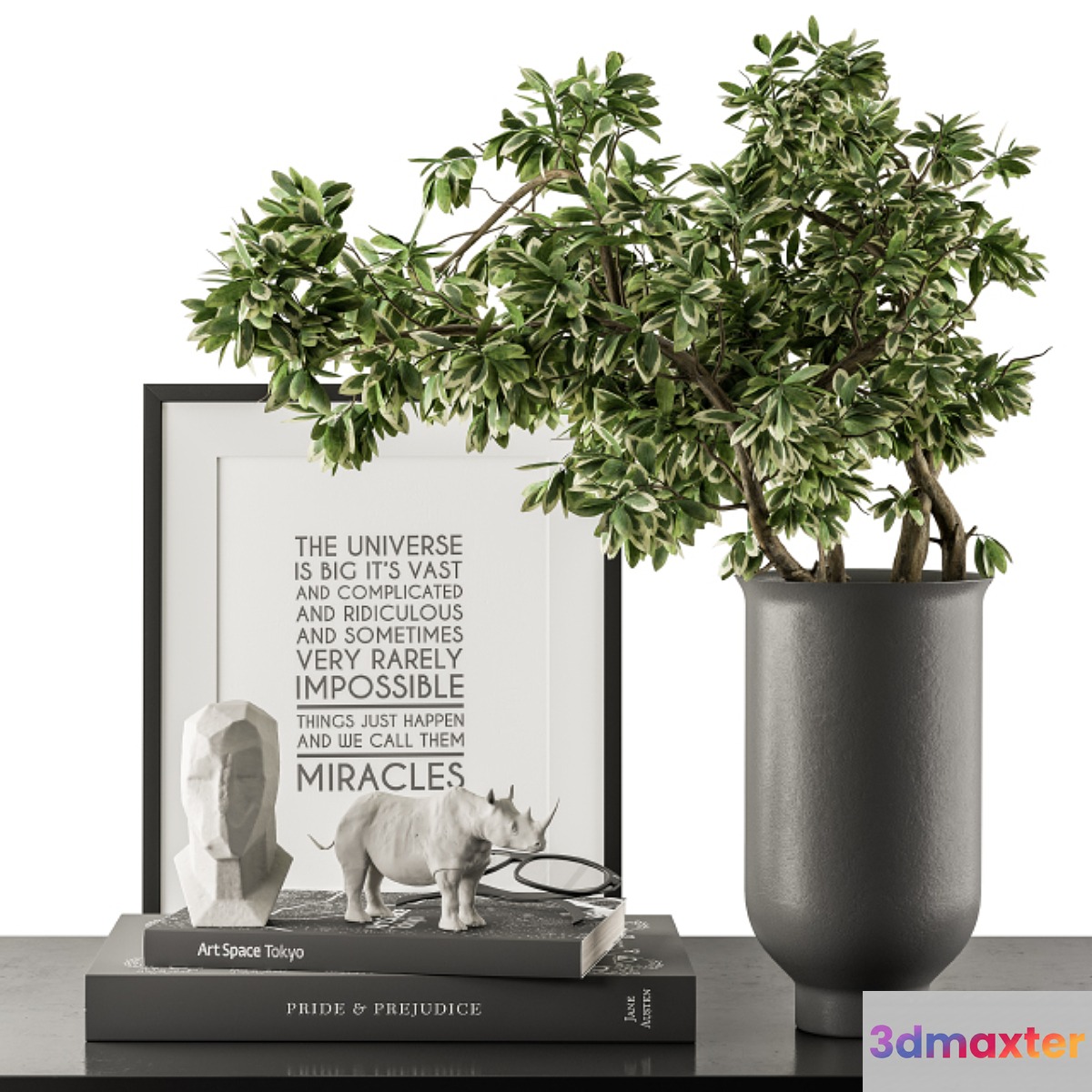Black and Green Decorative Set with Plants - Set 77