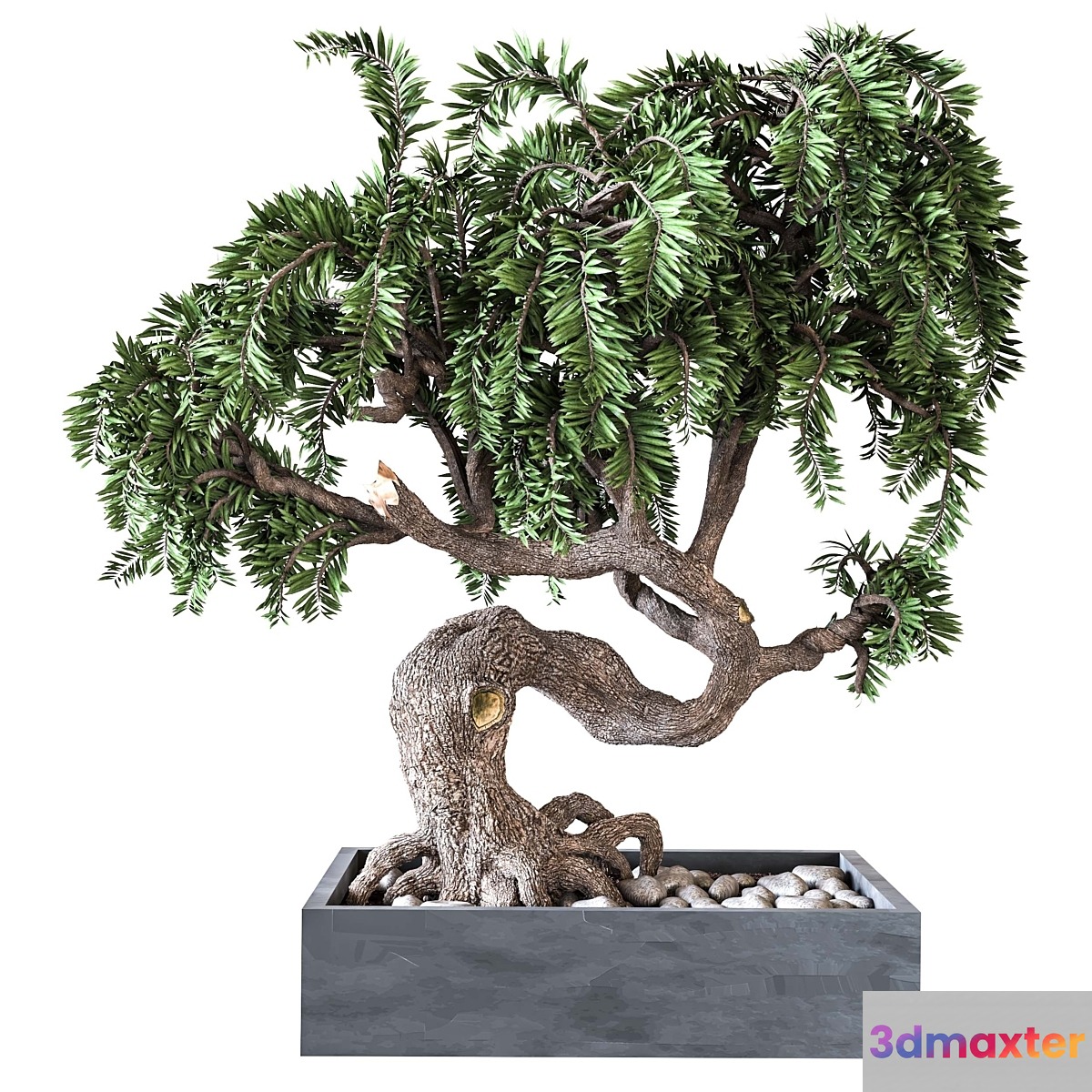 Outdoor Plant Vol 08