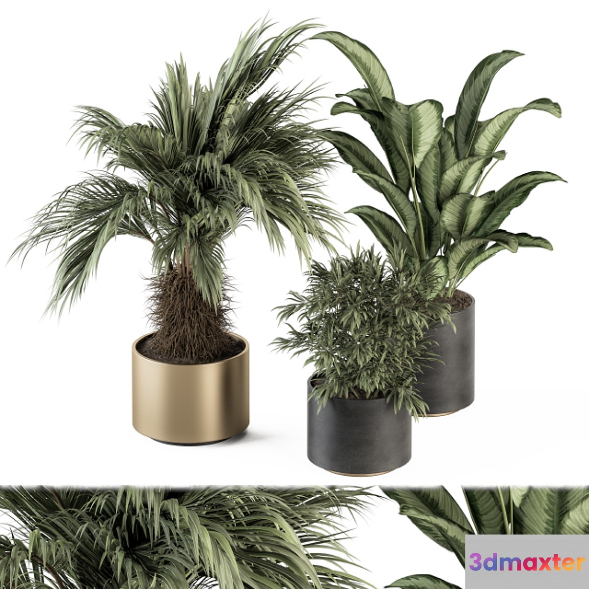 indoor Plant Set 256 - Plant Set in pot