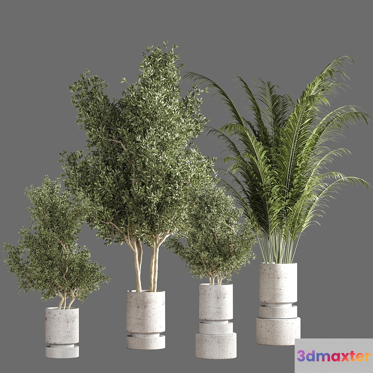 indoor plant set 19