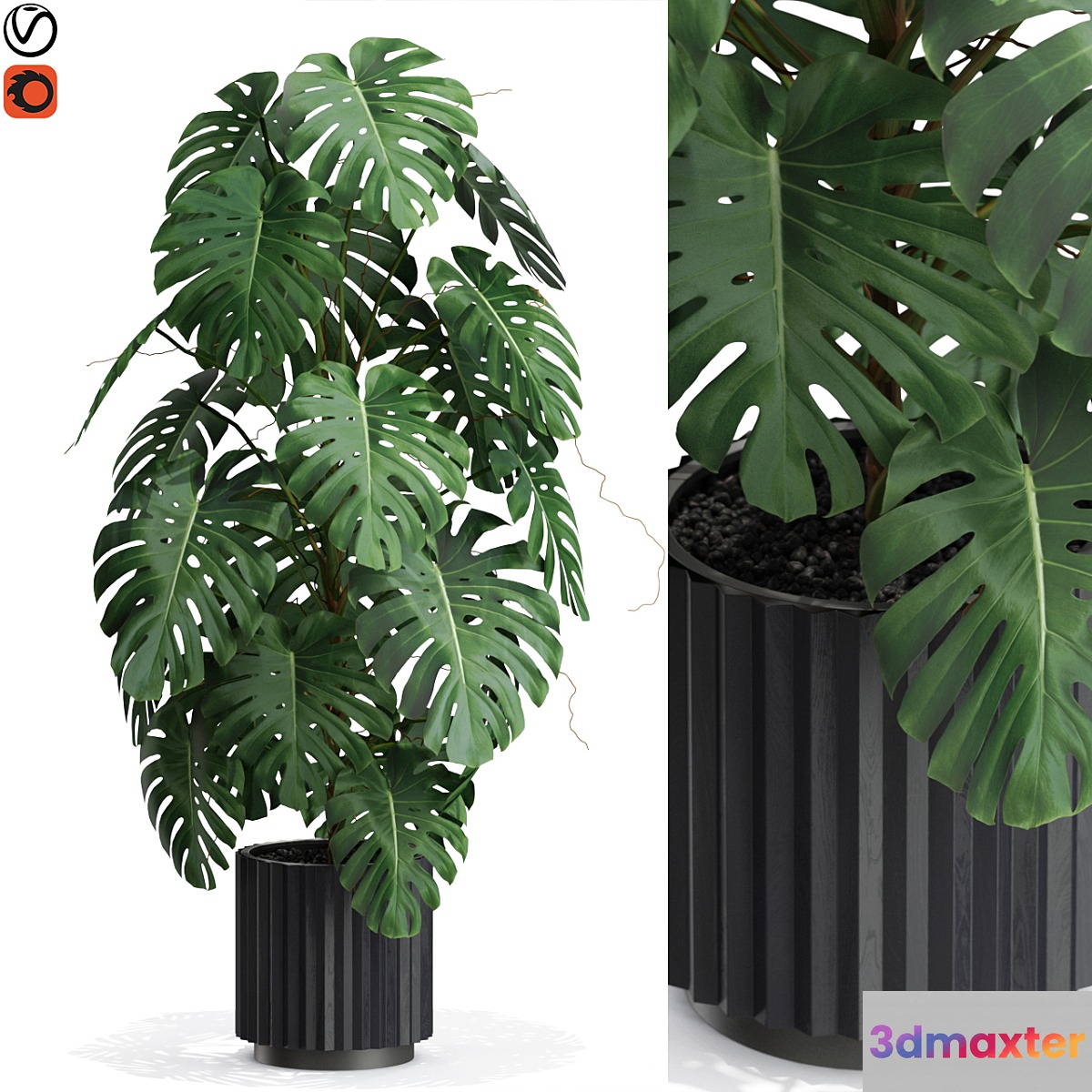Plants collection 583 3D Max