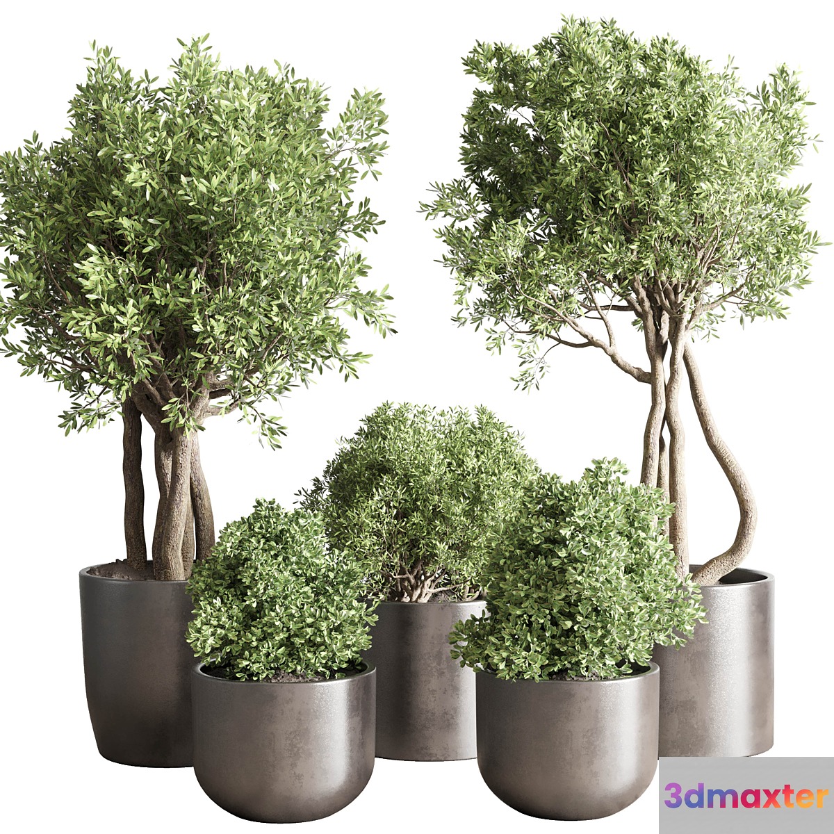 collection Indoor outdoor plant 122 pot tree plant bush dirty concrete vase pot