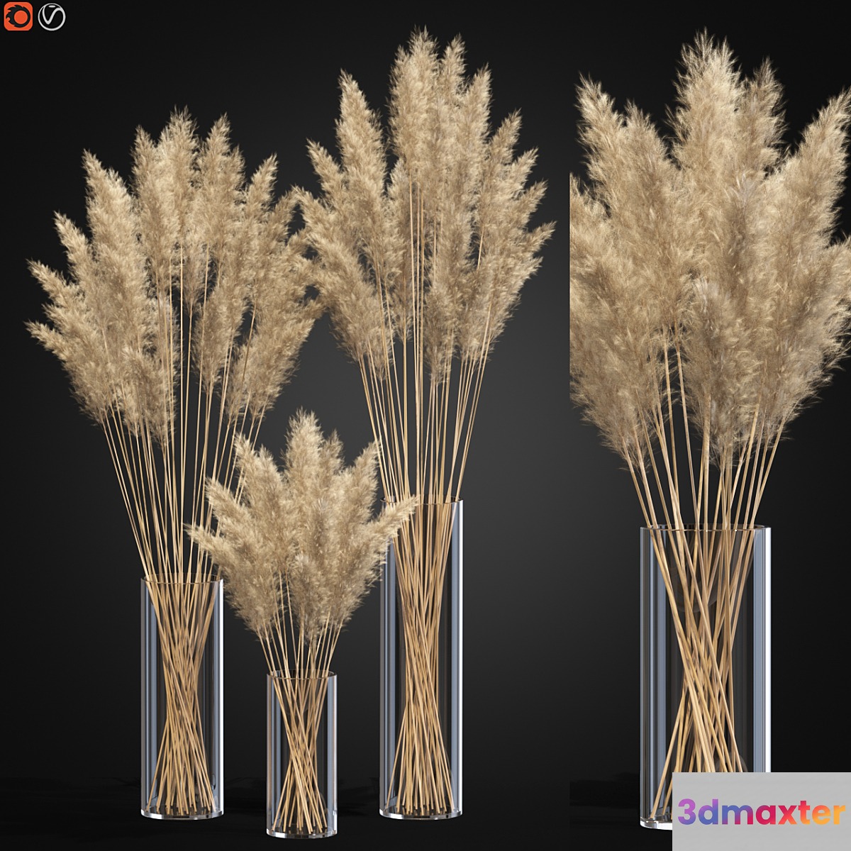 Decorative Pampas - No.4