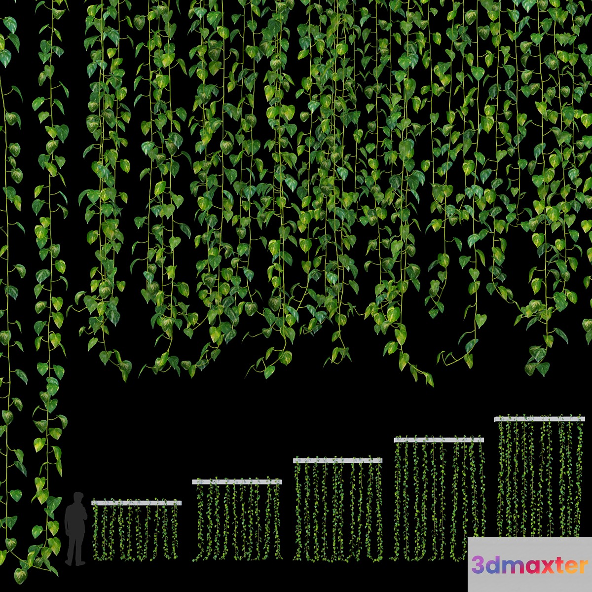 Hanging plant 3D Max