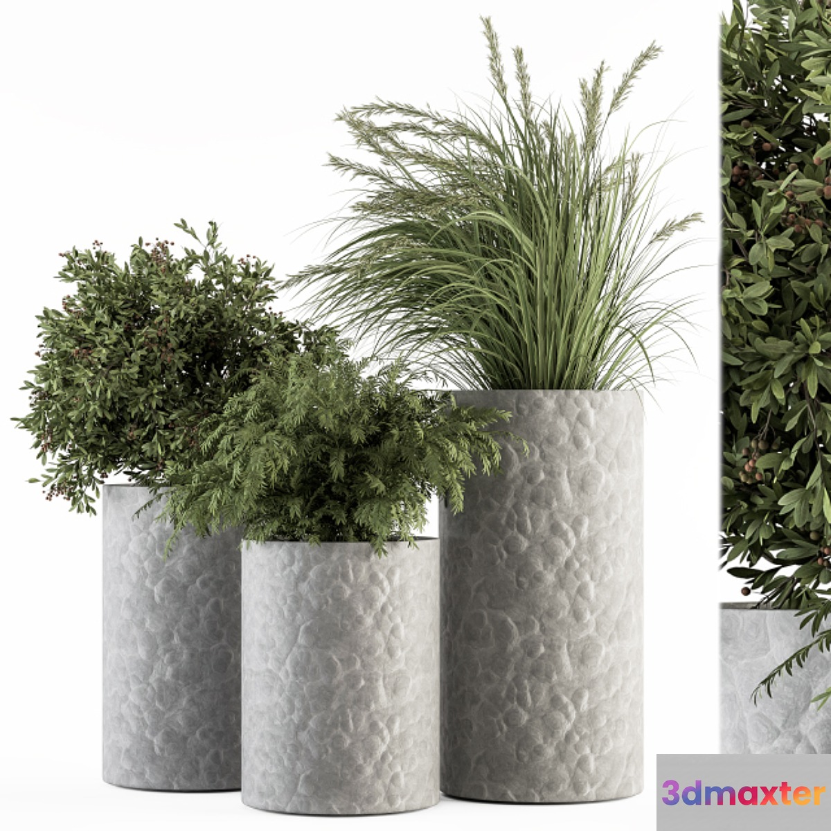 Outdoor Plant Set 292 - Plant Set in Concrete Pot