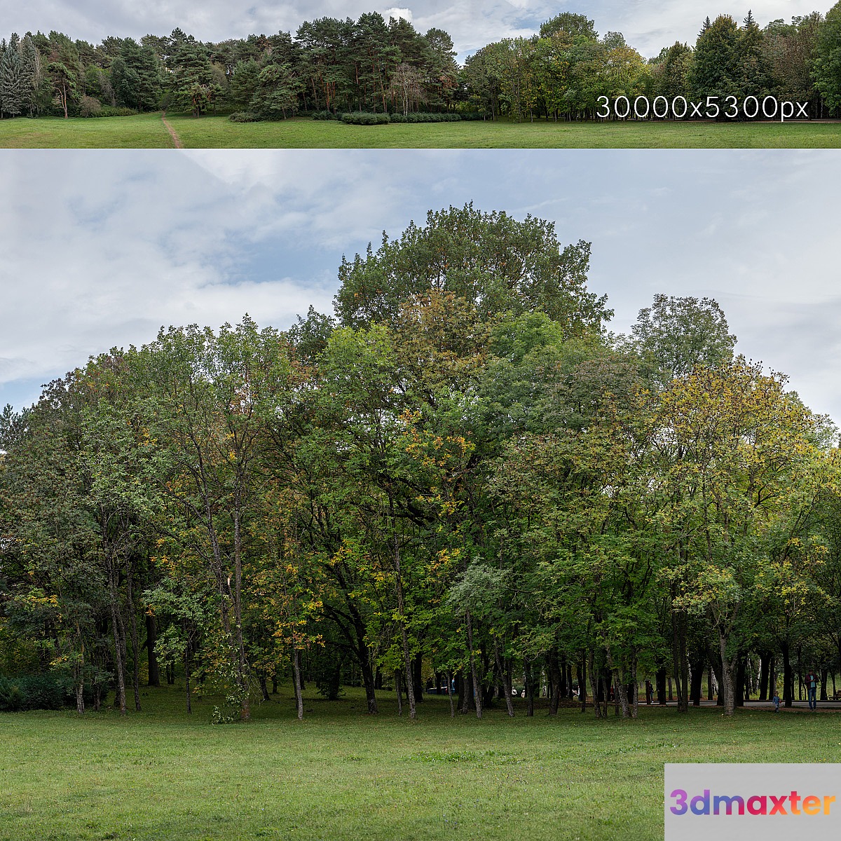 Autumn panorama with trees v2. 30k