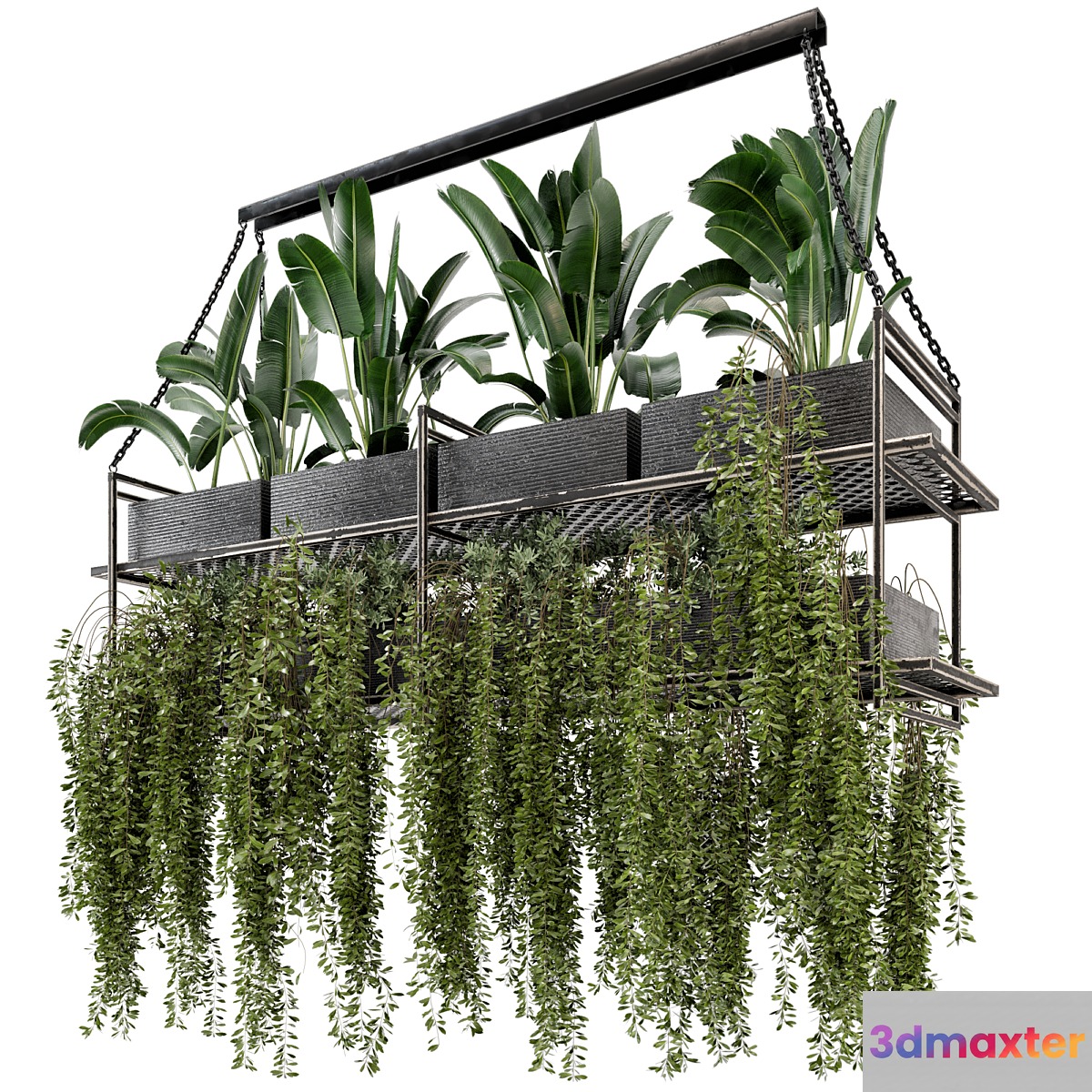 Indoor Hanging Plants in Metal Box - Set 269 - No.2