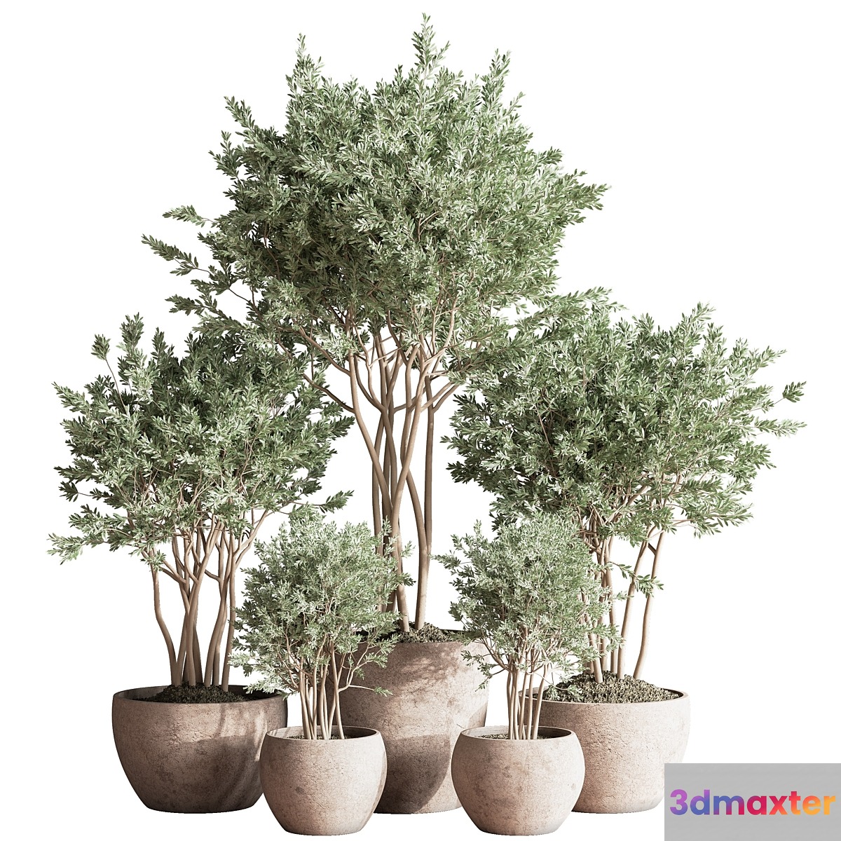 Indoor_Plant_Set_61 - No.2