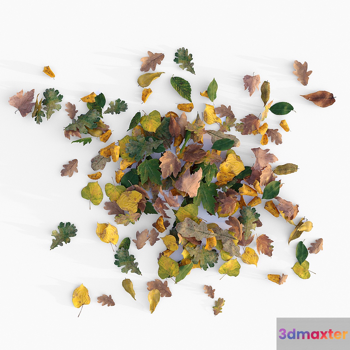 Autumn leaves - No.2 3D Max