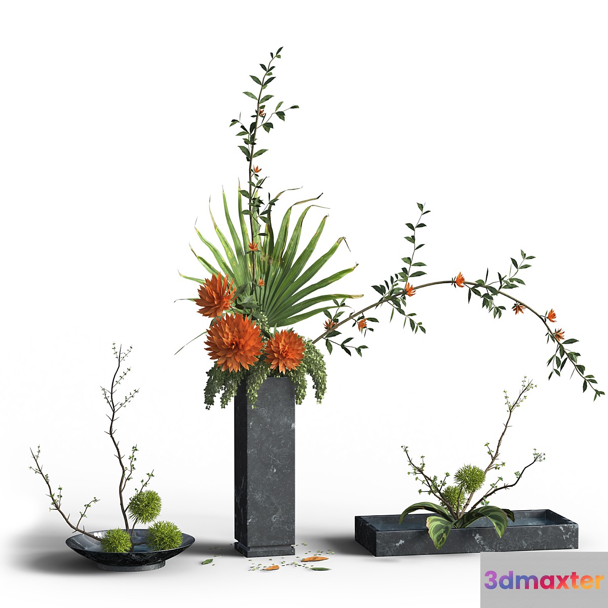 Indoor Plant Set 03 -three bouquets
