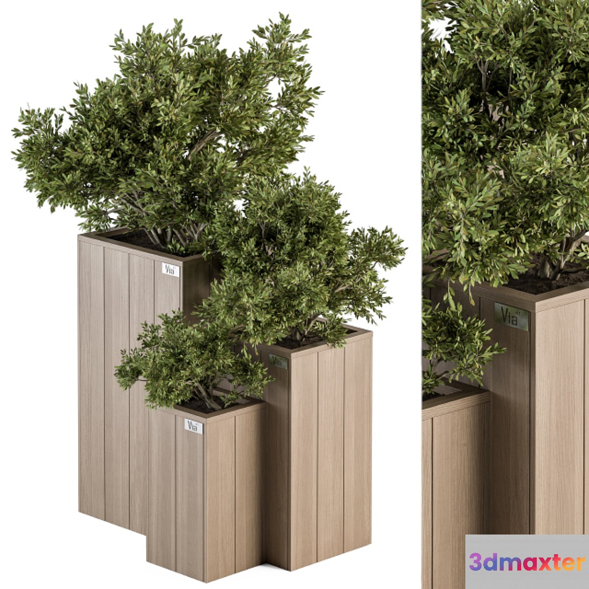 Outdoor Plant Set 298 - Wooden Plant Box