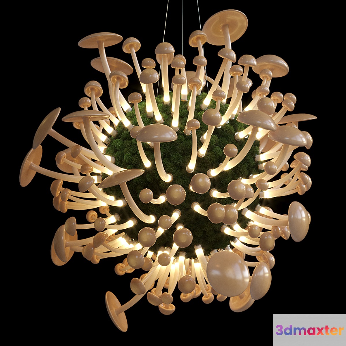 Mushrooms - Vargov Design