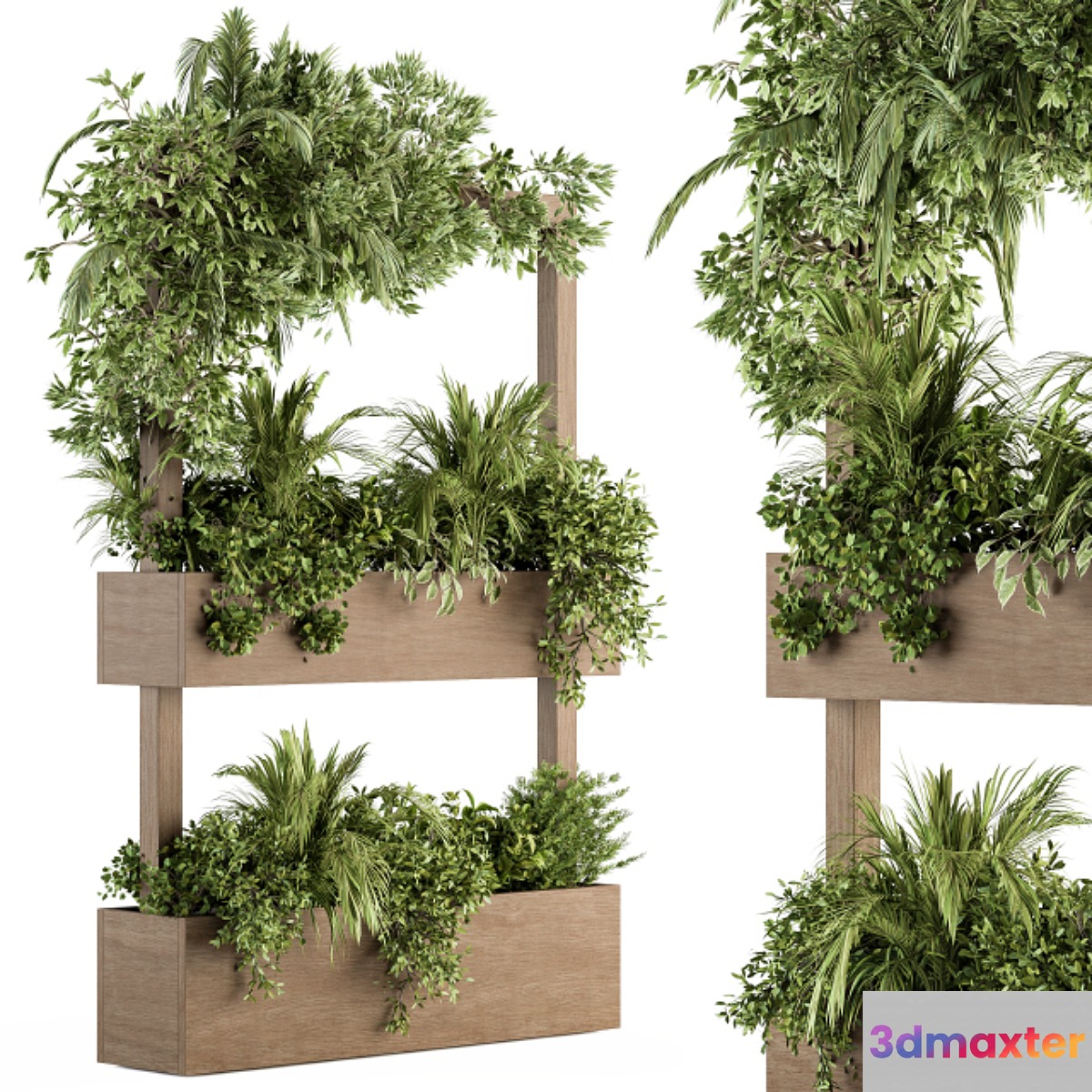 Plant Box Stand - indoor Plants 303