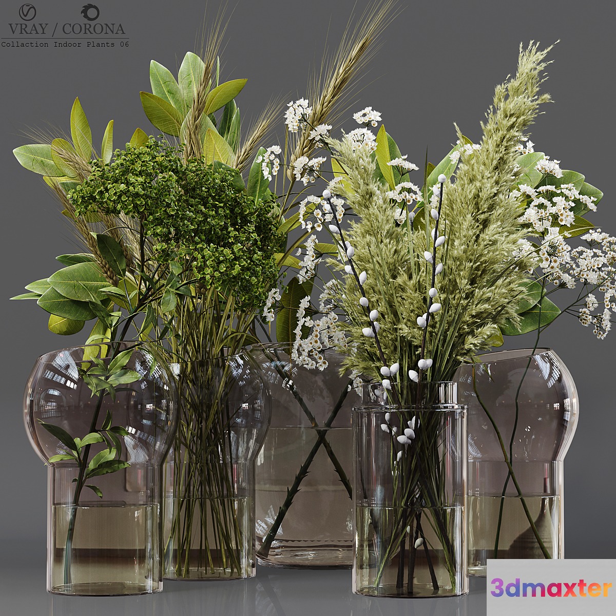 Collection Indoor Plants 06 - No.3