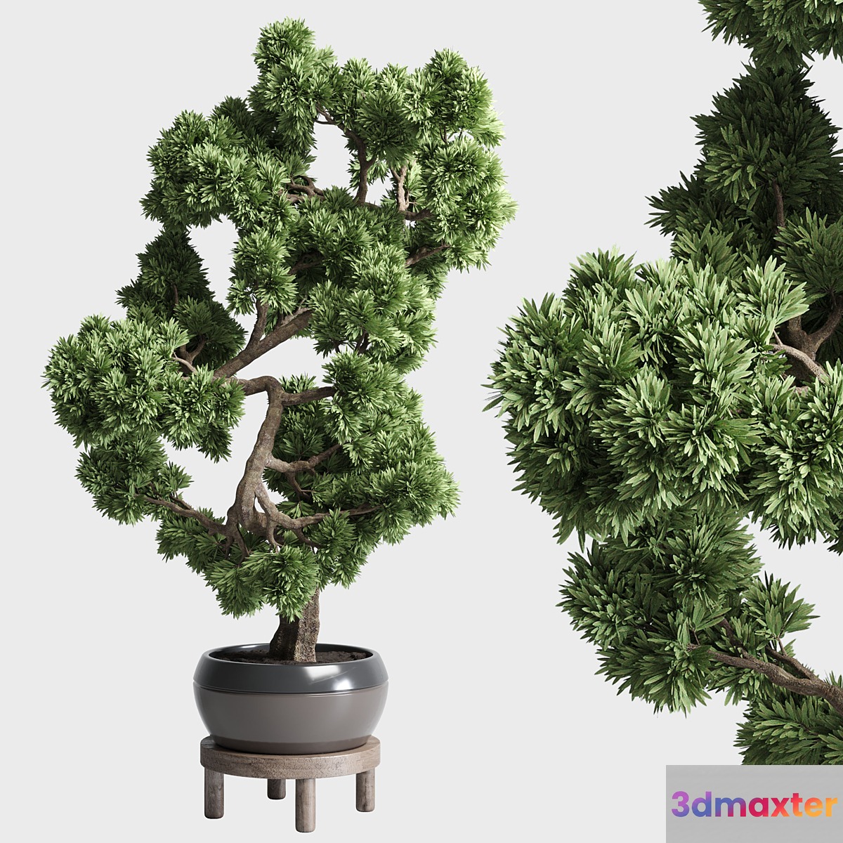 indoor outdoor plants 134 pots tree bonsai - No.2