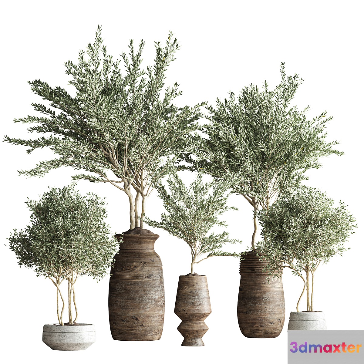 indoor plant set 23 - No.2 3D Max