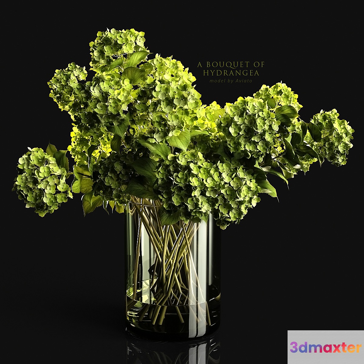 A bouquet of hydrangea