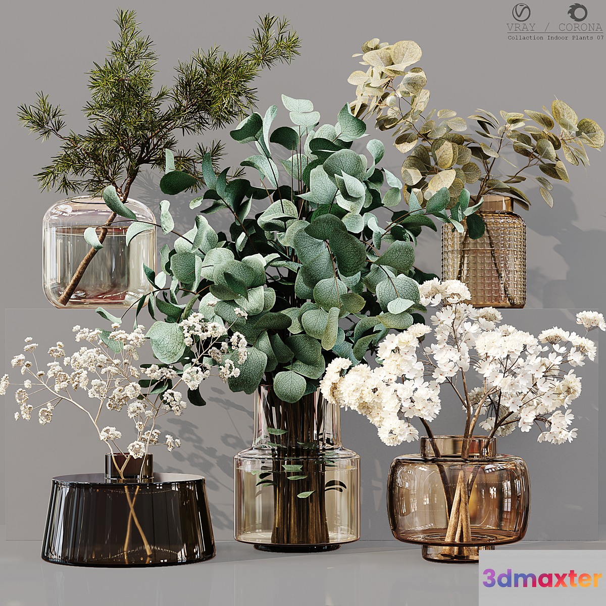 Collection Indoor Plants 07