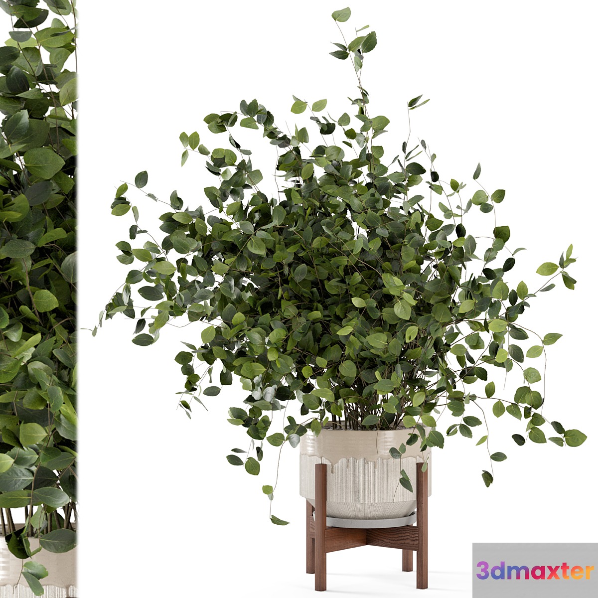 Indoor Plants in rusty Concrete Pot - Set 280