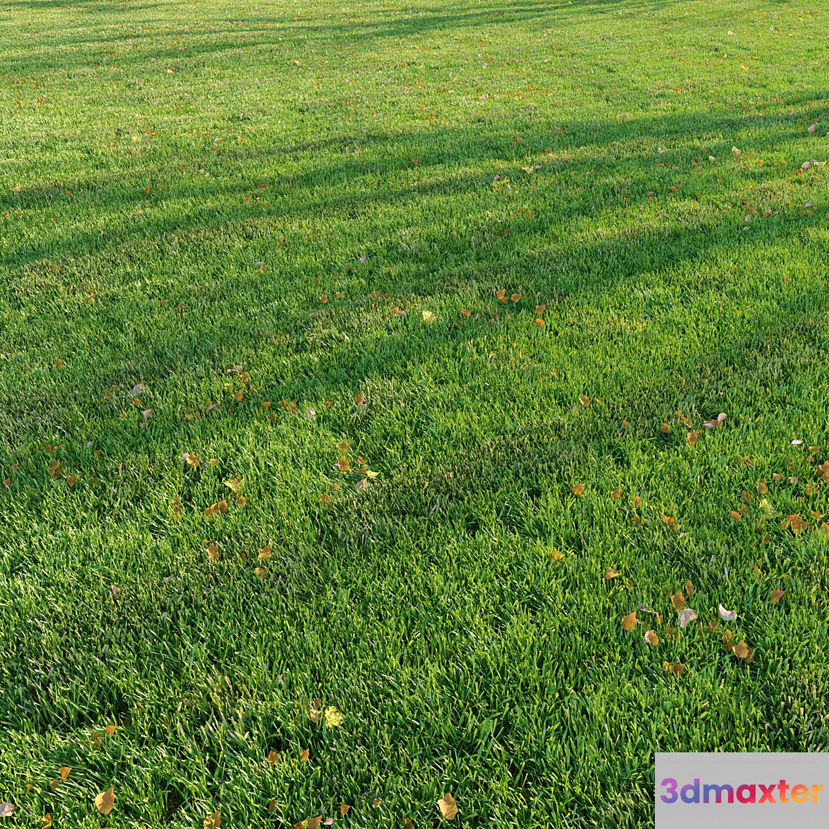 Cut grass