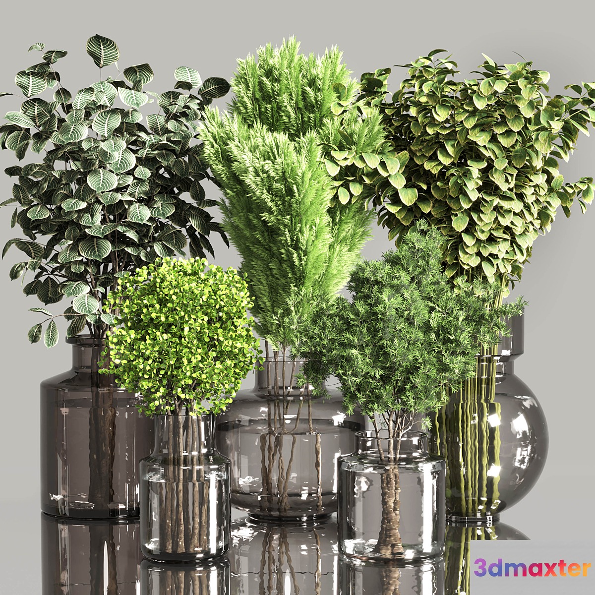 Collection Plants Bouquet Indoor 01 3D Max