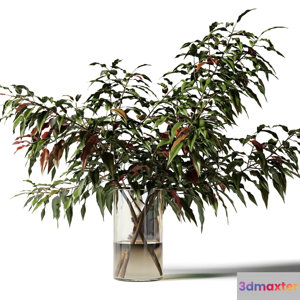 Bouquet of branches with green leaves in a glass vase