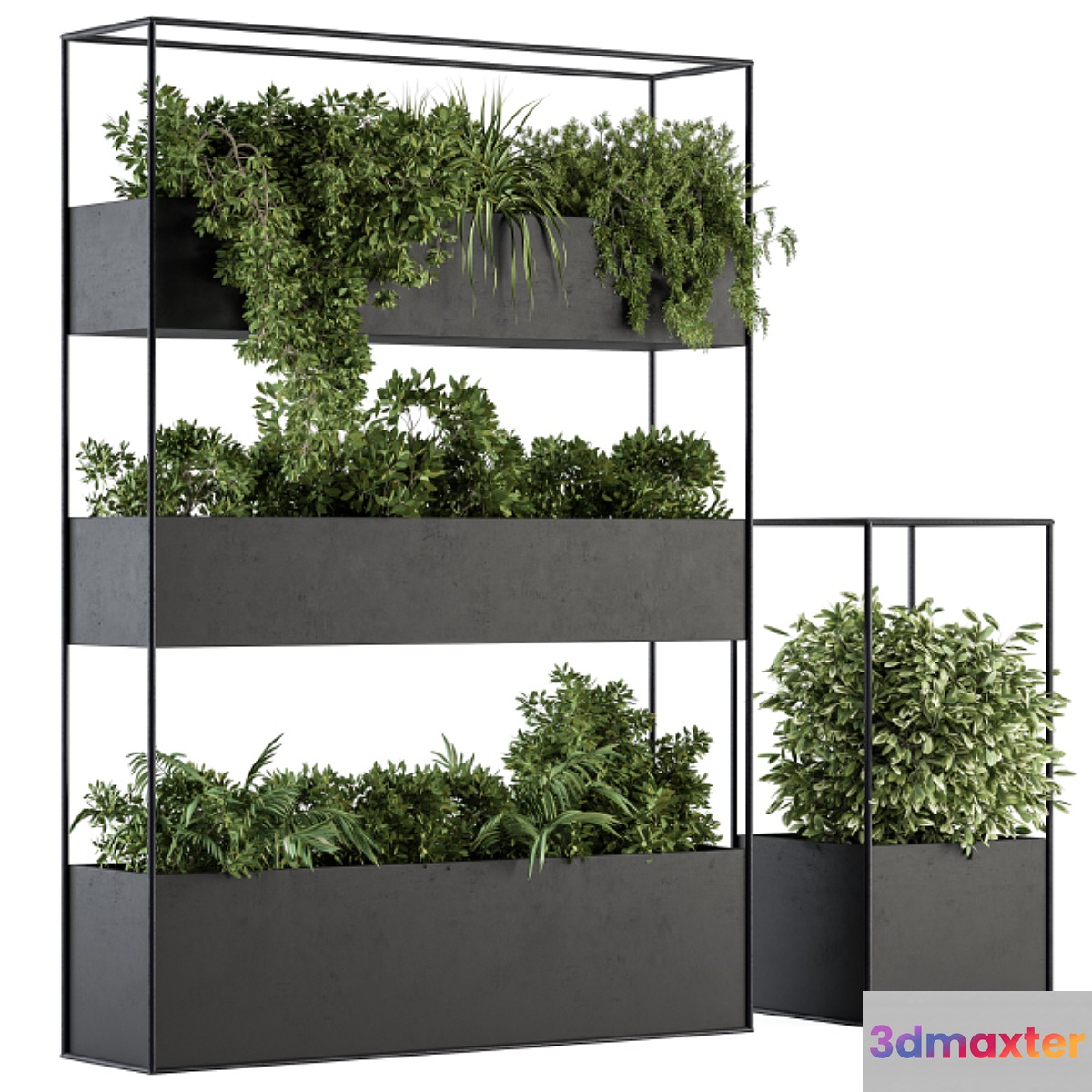 Indoor Plant Set 302 - Plant Box Stand 3D Max