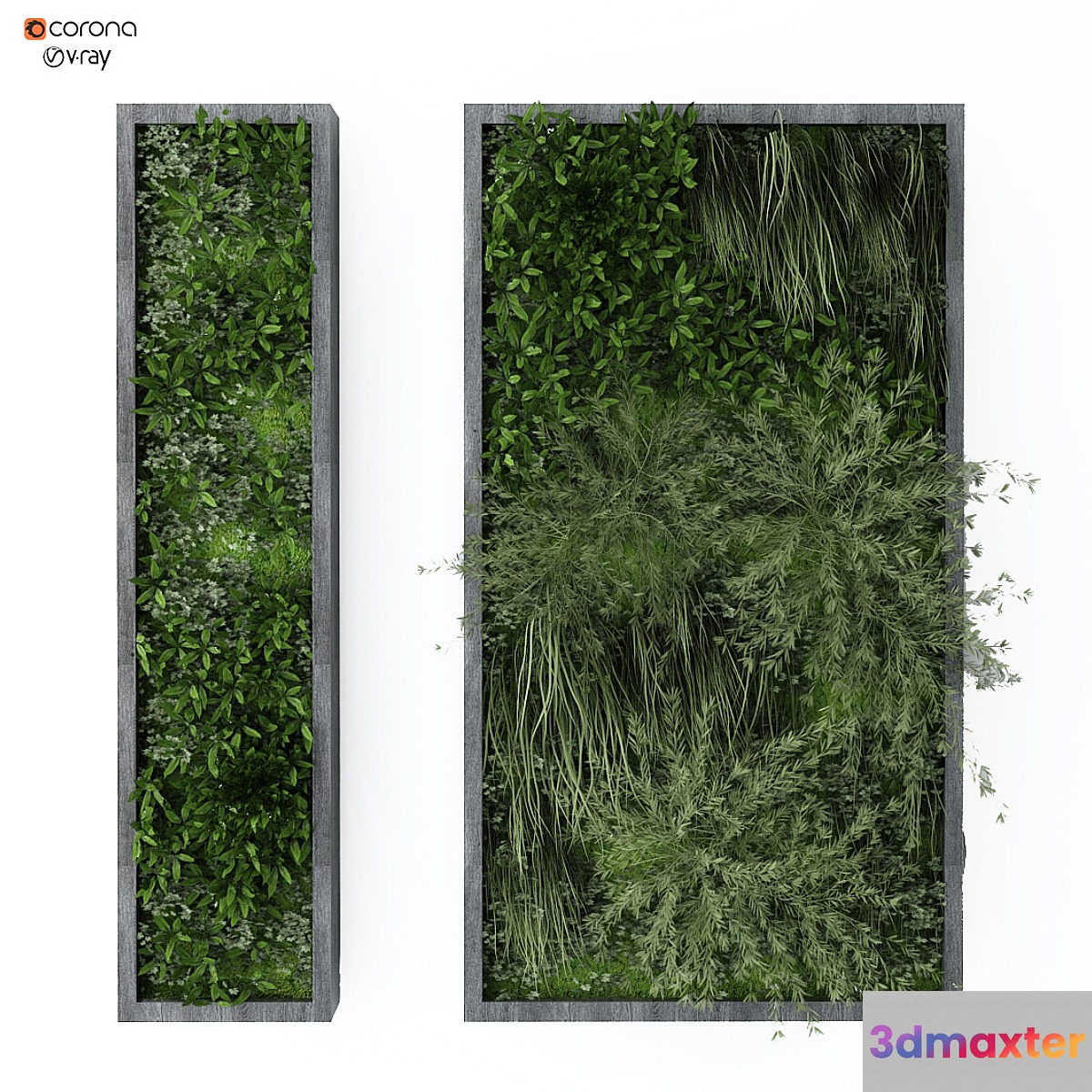 vertical plant 162