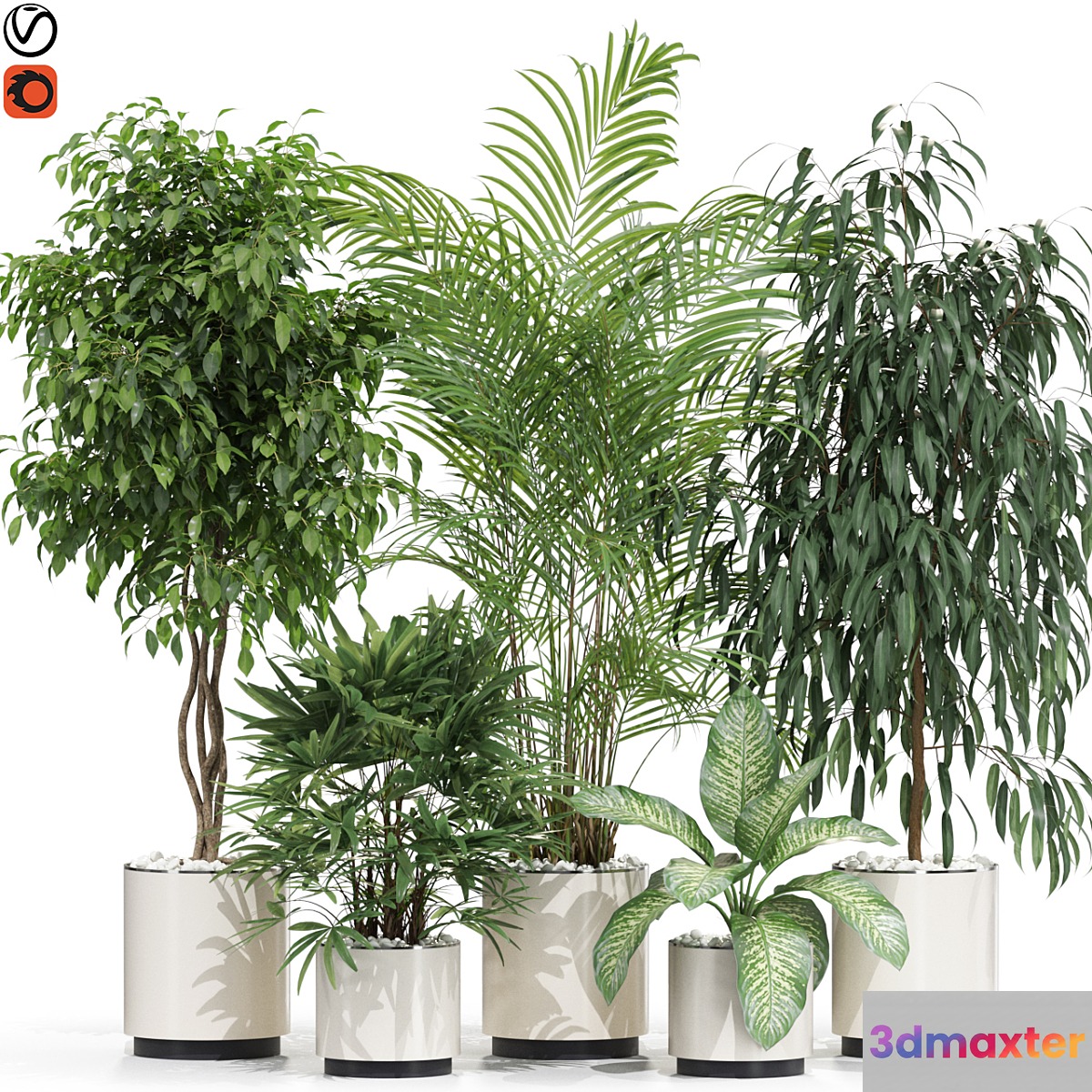 Plants collection 600