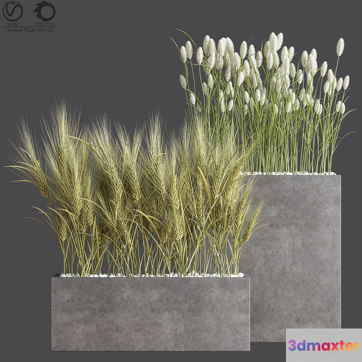 Indoor Plant Set 66