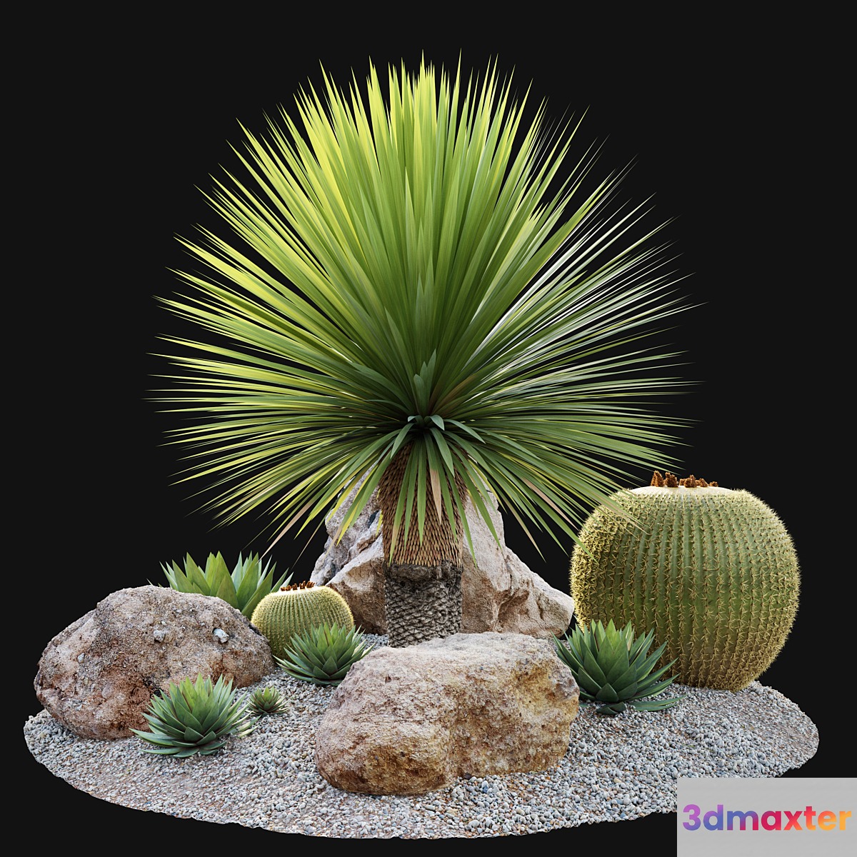 Australian garden 3D Max
