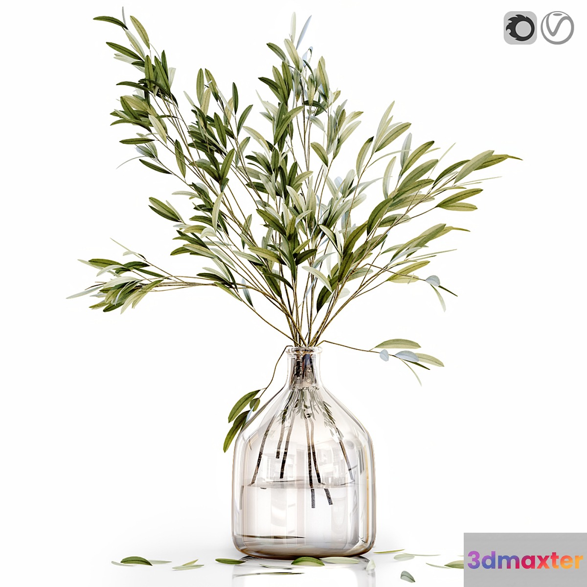Olive stems 3