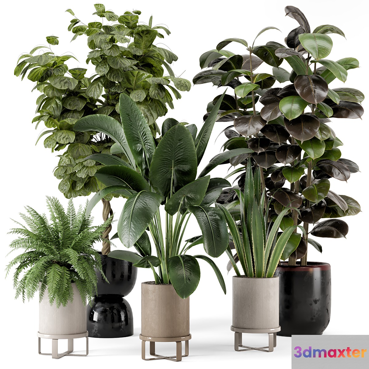 Indoor Plants in Ferm Living Bau Pot Large - Set 299 - No.2