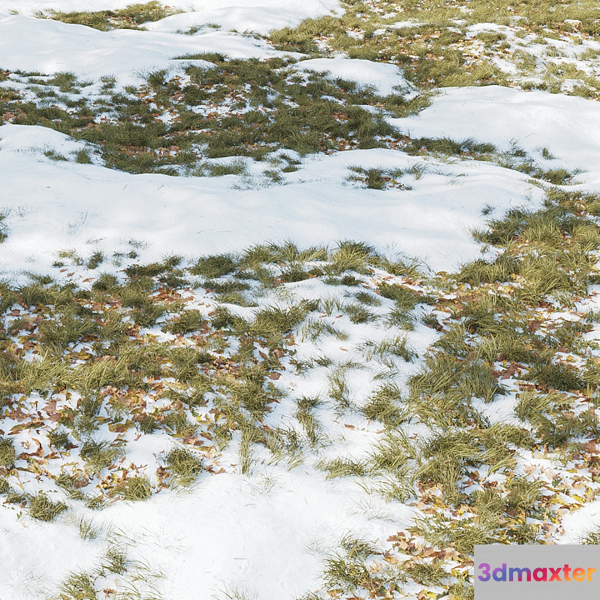 Winter Grass 01