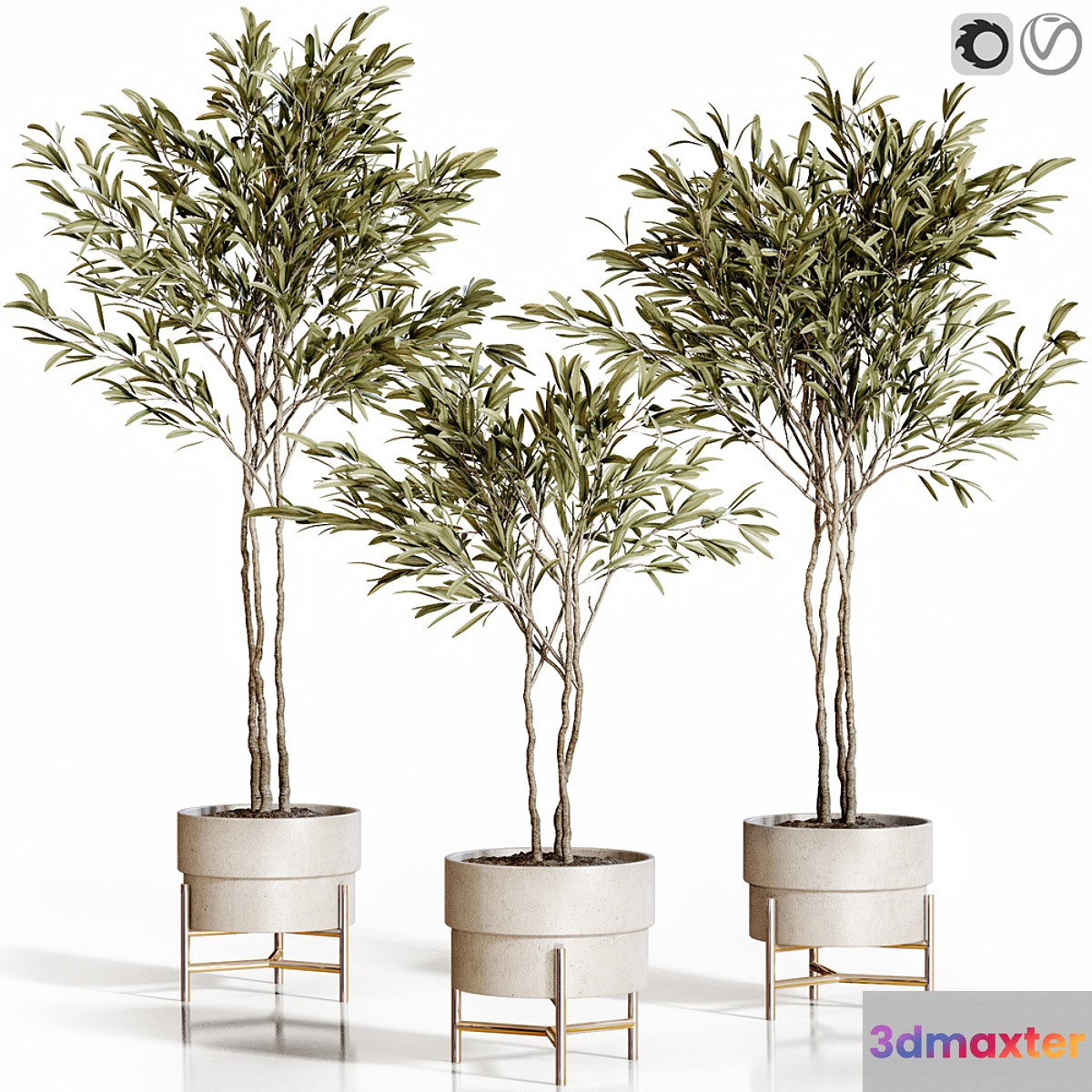 Olive trees 3 - No.2