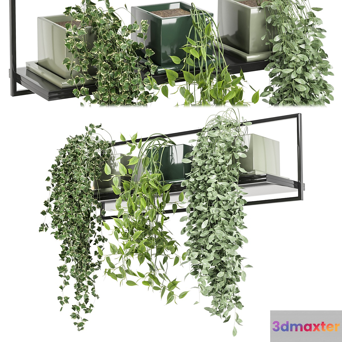 indoor plants in rusty concrete pot on metal shelf - Set 107