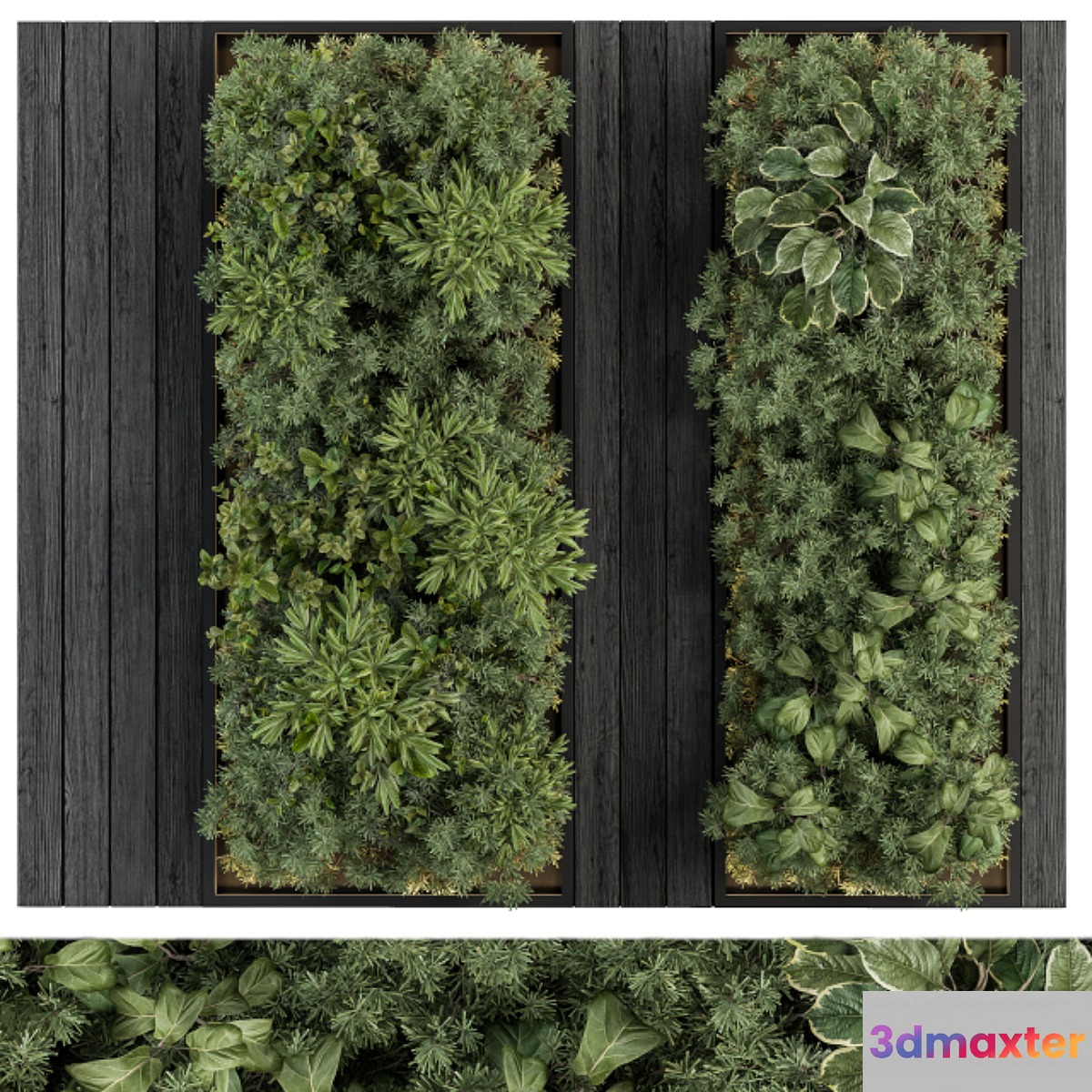 Vertical Garden Black Frame - Wall Decor 38