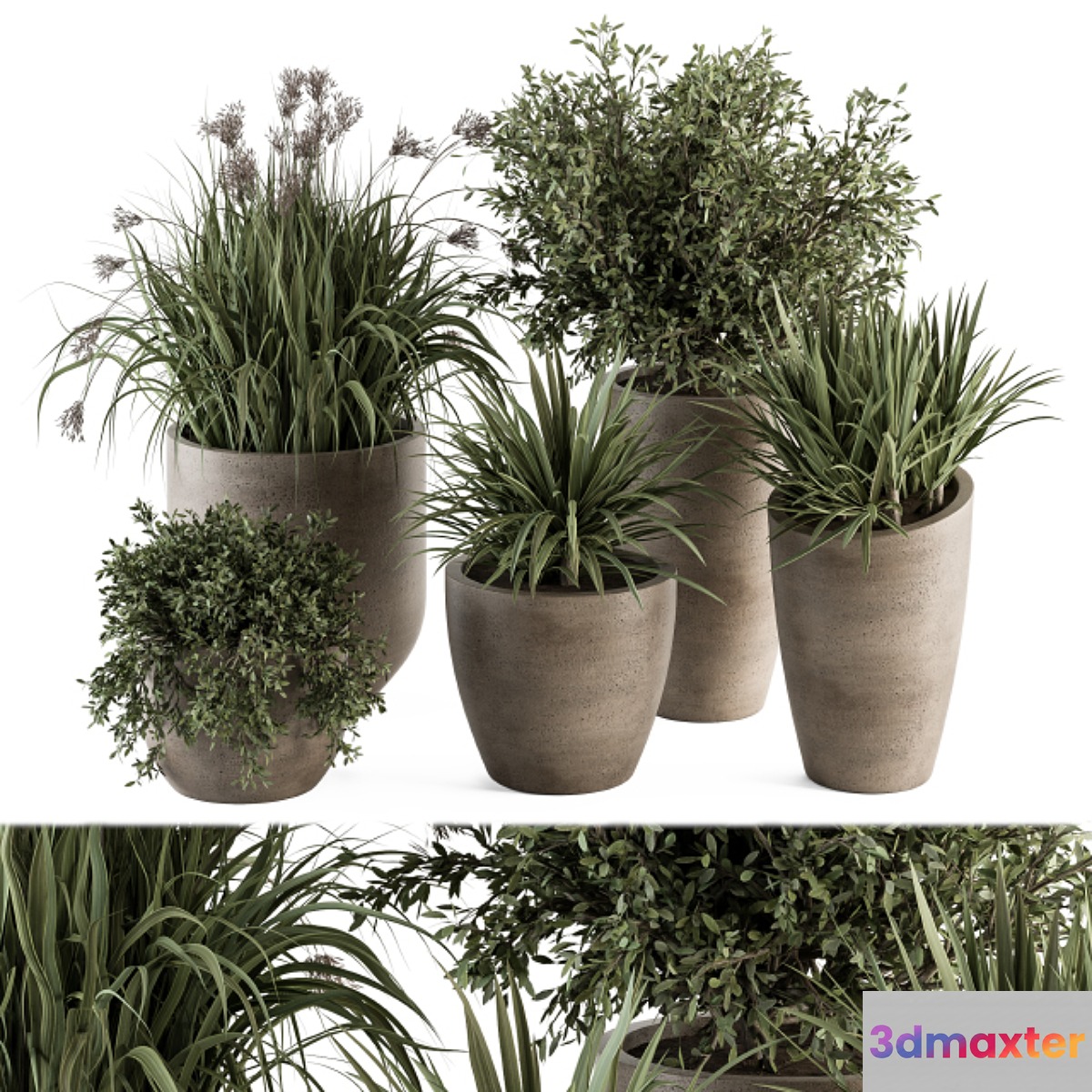 Outdoor Plant Set 311 - Yuka and Bush Set in Concrete Pot