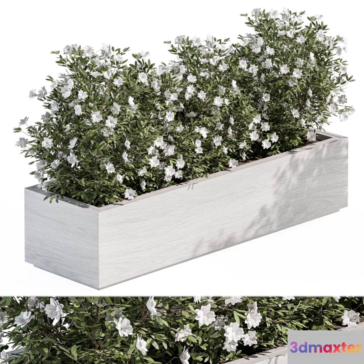 Outdoor Plant Set 304 - Plant Box 3D Max