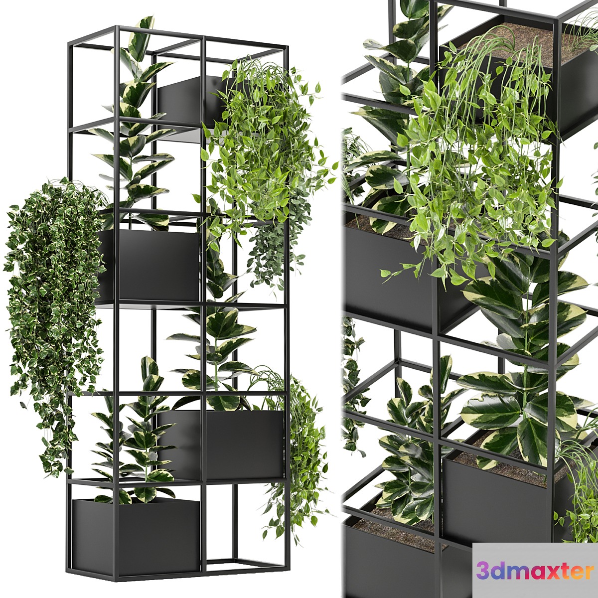 indoor plants in rusty concrete pot on metal shelf - Set 110