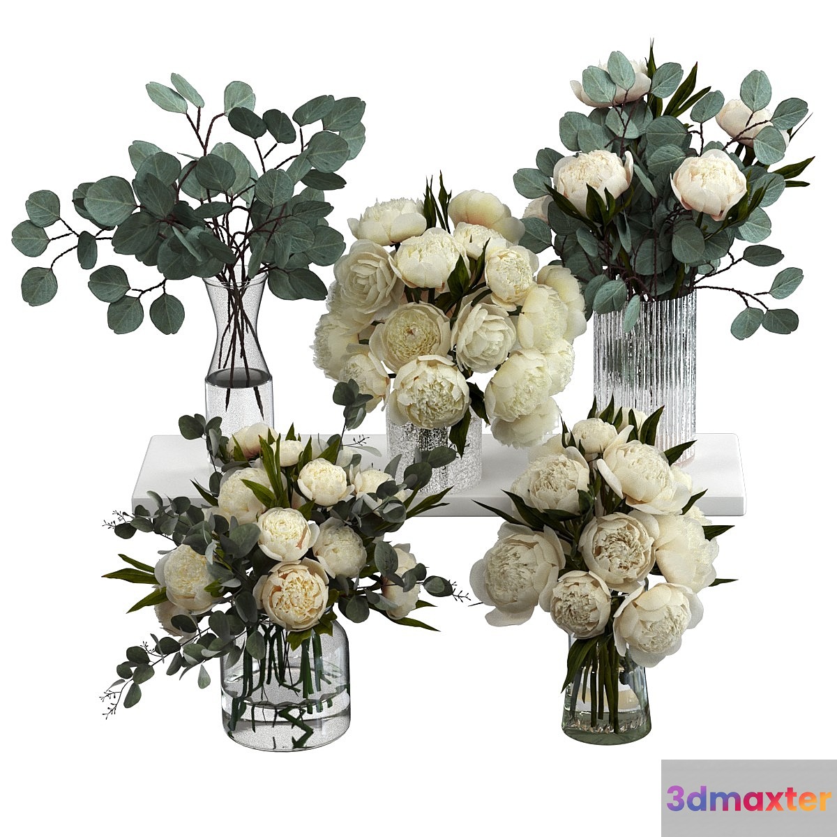 Bouquets of eucalyptus and peonies 3D Max