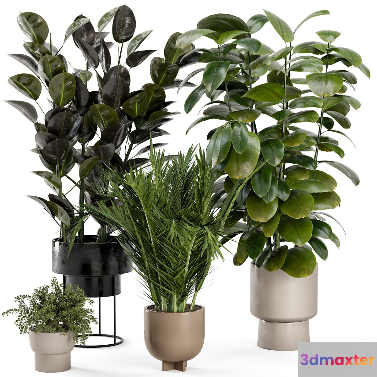 Indoor Plants in rusty Concrete Pot - Set 307